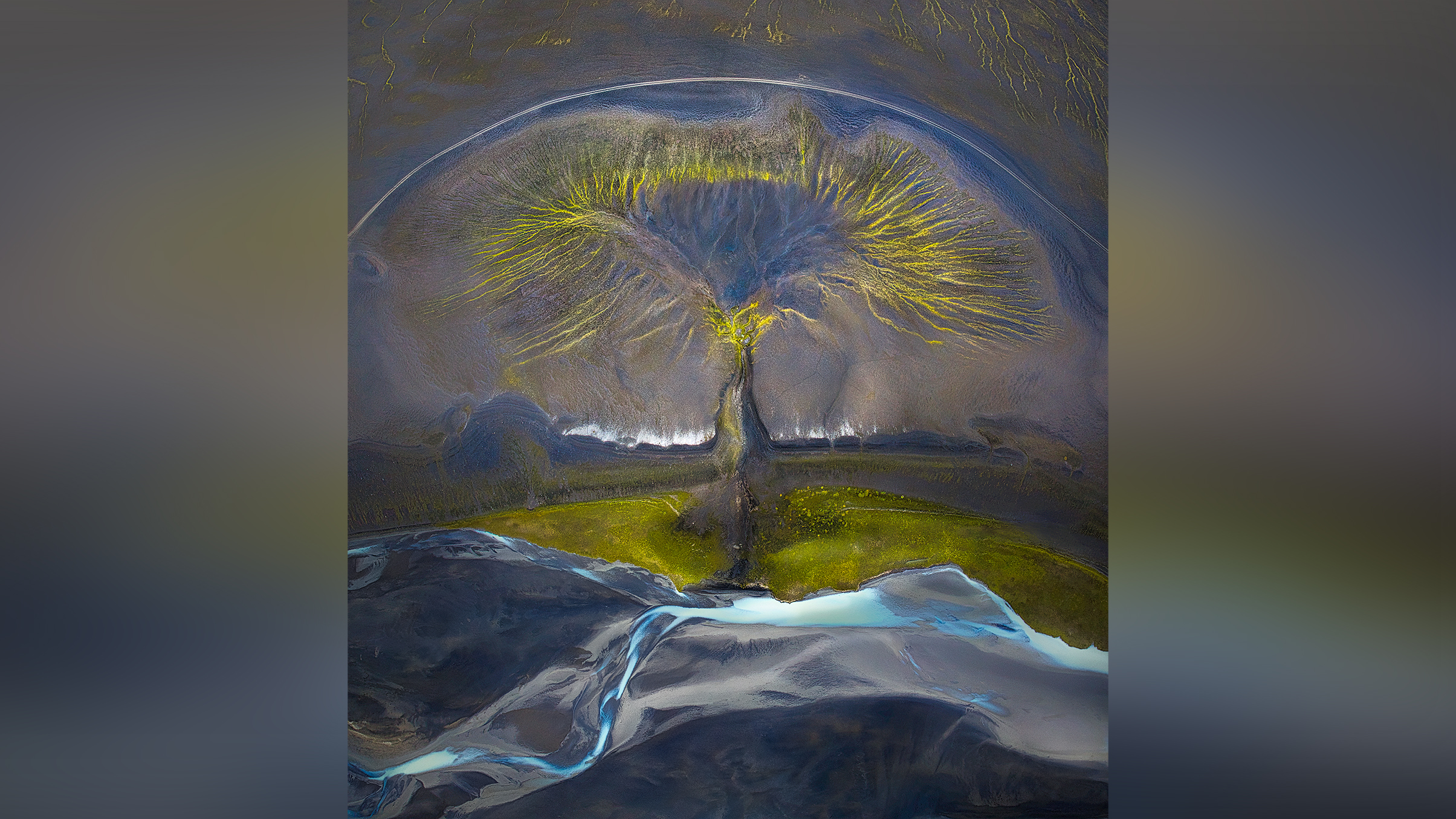 Aerial view of abstract patterns in colorful sand and water, resembling a tree with green foliage against dark textures.