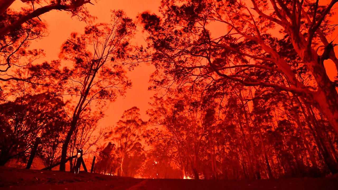 ausbushfire.jpg