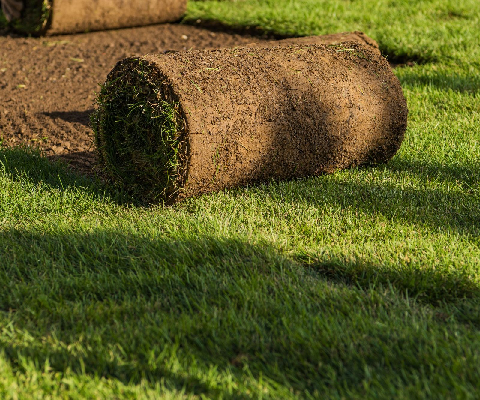When to cut new grass experts explain how to boost growth Homes & Gardens