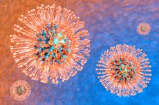An illustration of the herpes virus.