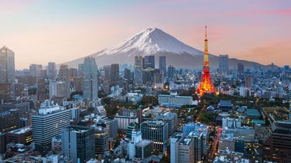 Mt. Fuji and the Tokyo skyline