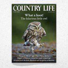 Cover of Country Life January 14, 2026