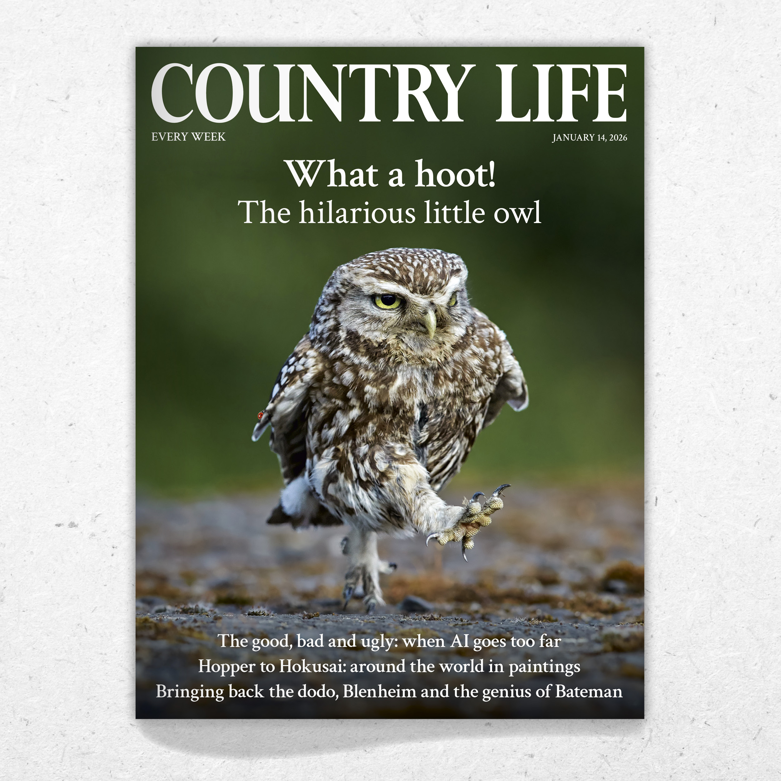 Cover of Country Life January 14, 2026