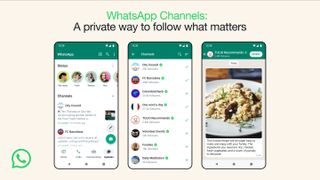 Whatsapp's new channels feature