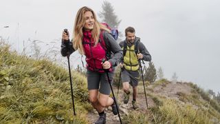 best trekking poles: hikers on the trail