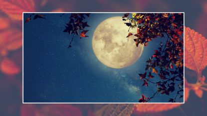 october 2022 full moon; a full moon near fall leaves on an autumn background