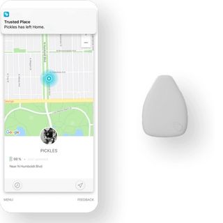 Jiobit - Smallest Real-Time GPS Location Tracker