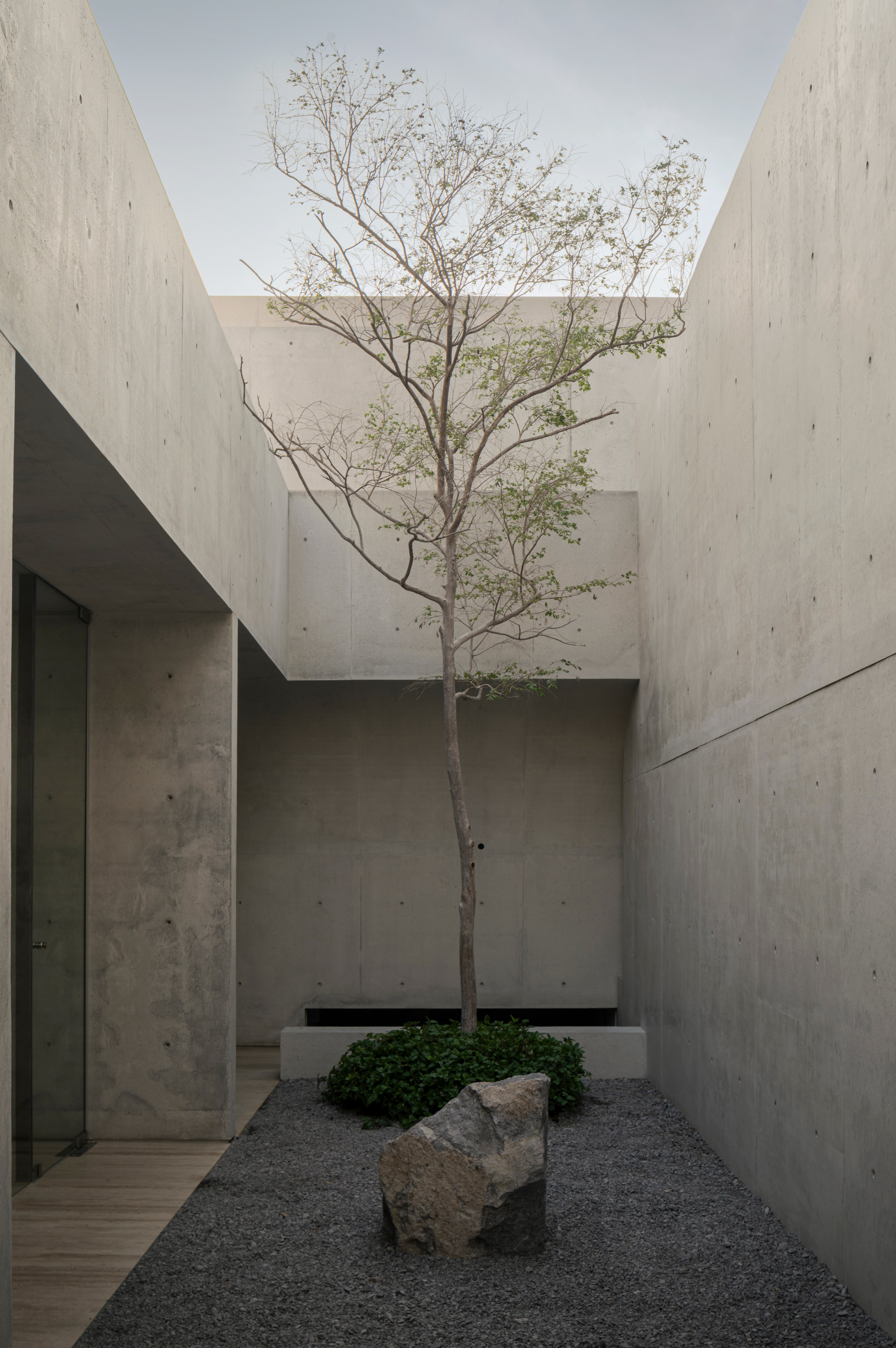 Behind the curved wall lies this courtyard, bringing light into the bedrooms at left