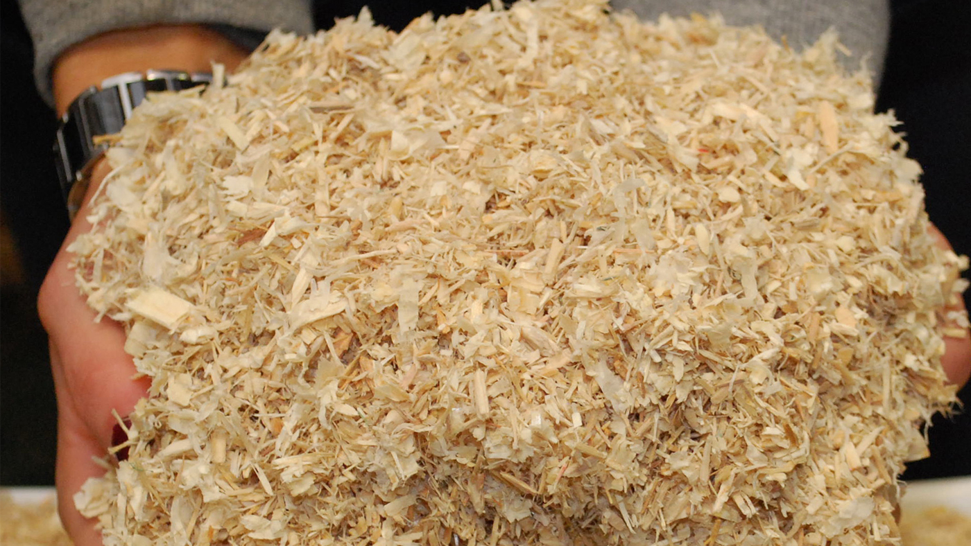 Arden-Wood-Shavings_Hero_1400x788