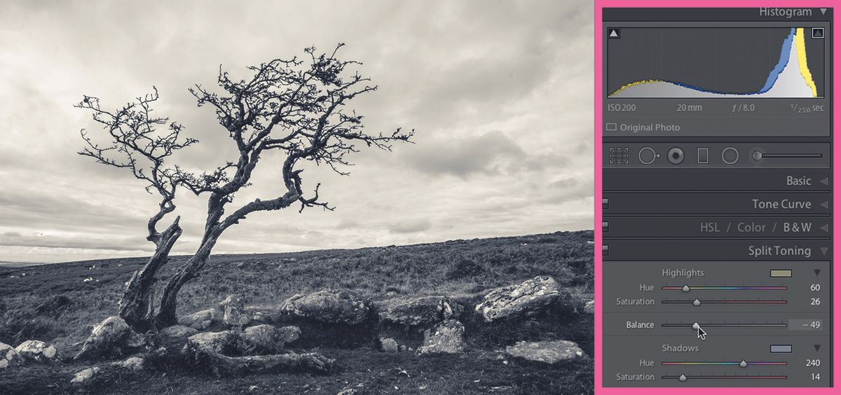 How to add tints for extra impact | Digital Camera World