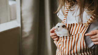 Girl with a hamster sitting in her striped pinafore