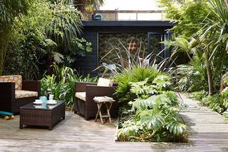 tropical_garden_room