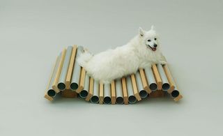 Playful curved dog bed for small dog - constructed of alternate wooden planks and metal tubes.