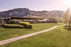 Mezzacorona_winery.jpg