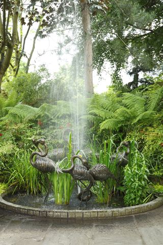 Island pond, tree ferns, hedge of Nandina domestica 'Fire Power'. Water feature fountian with bronze flamingoes