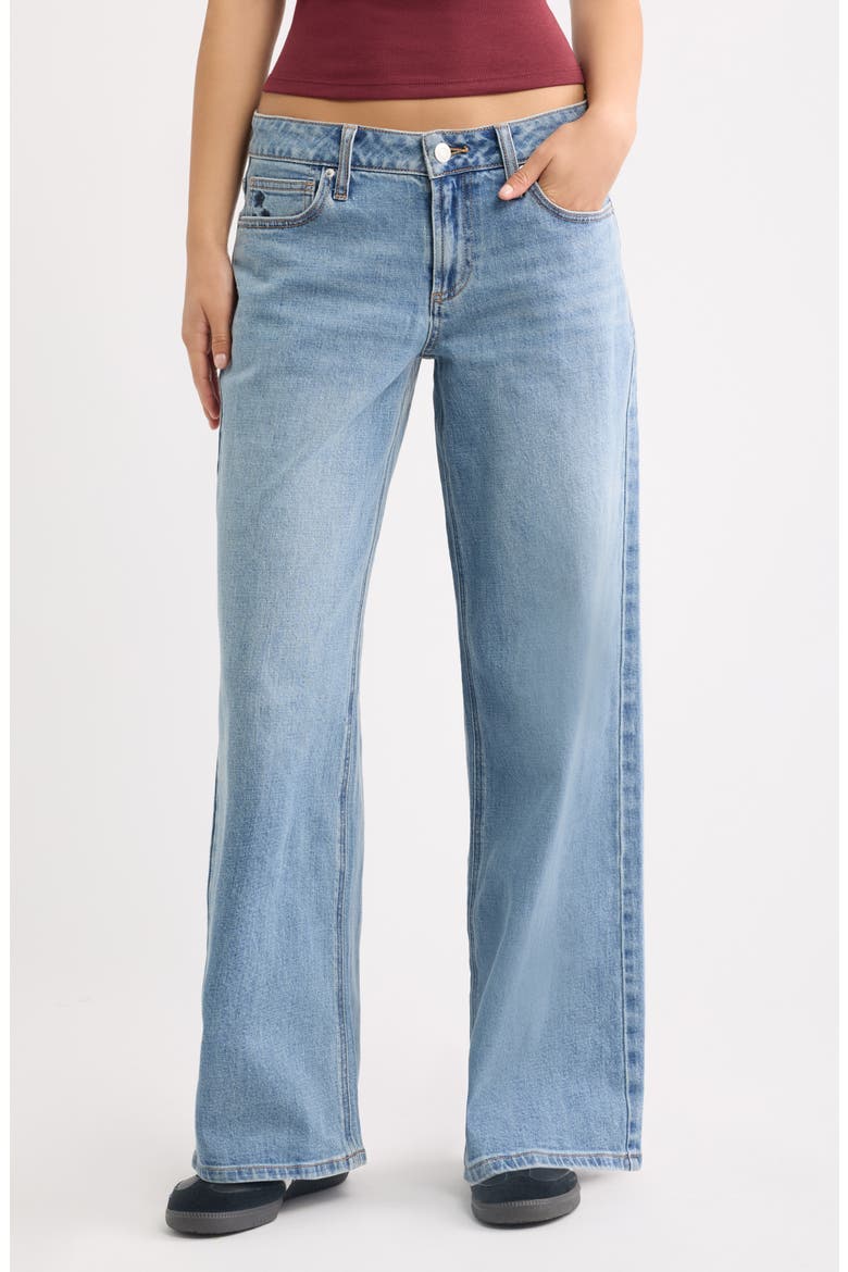 Low Rise Baggy Wide Leg Jeans