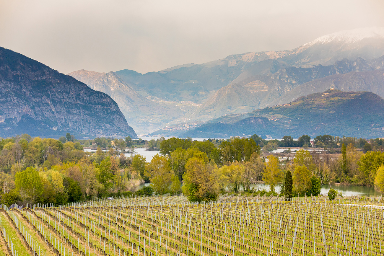 Franciacorta_landscape.jpg