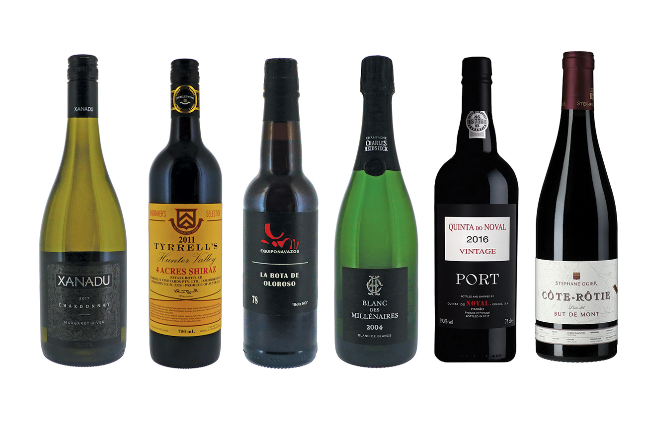exciting wines 2019