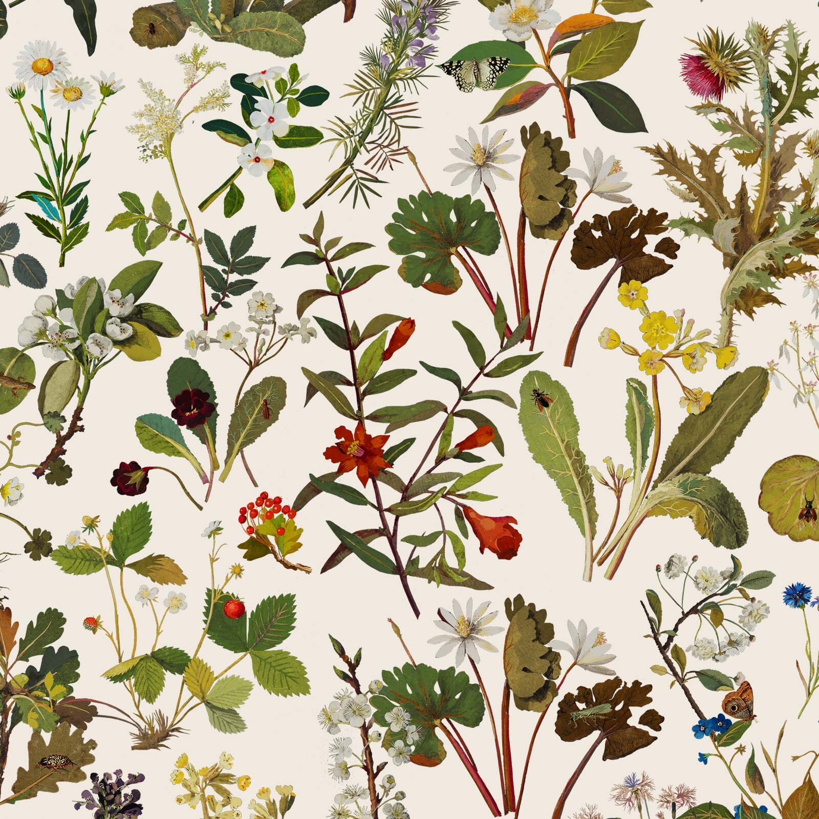 Herbarium Wallpaper - Ecru