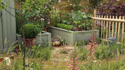 how to build a raised garden bed in a vegetable garden
