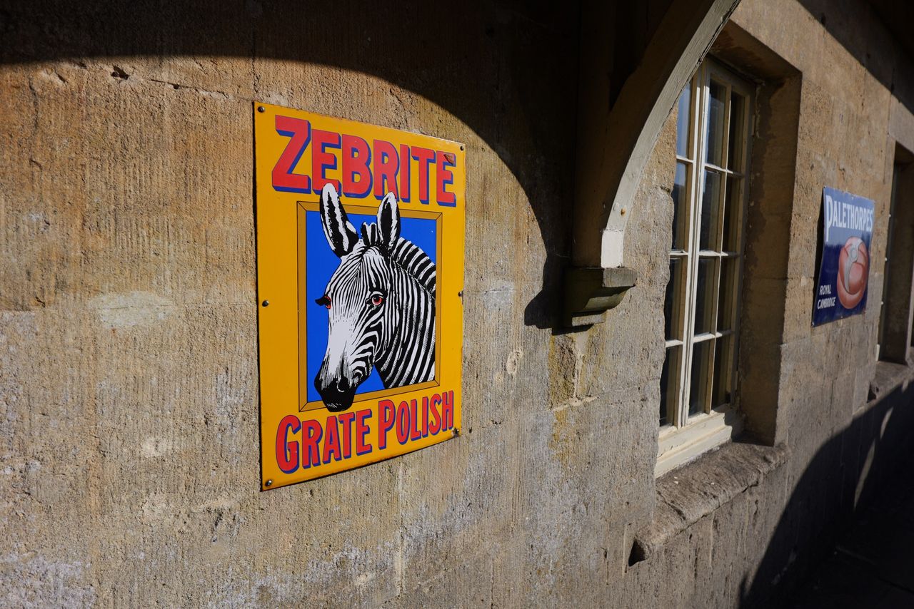 Panasonic Lumix S 20mm f/2.5 sample image
