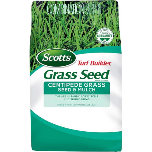 Centipede Grass Seed