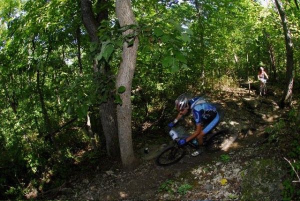 In the trees at the 24 Hours of Landal