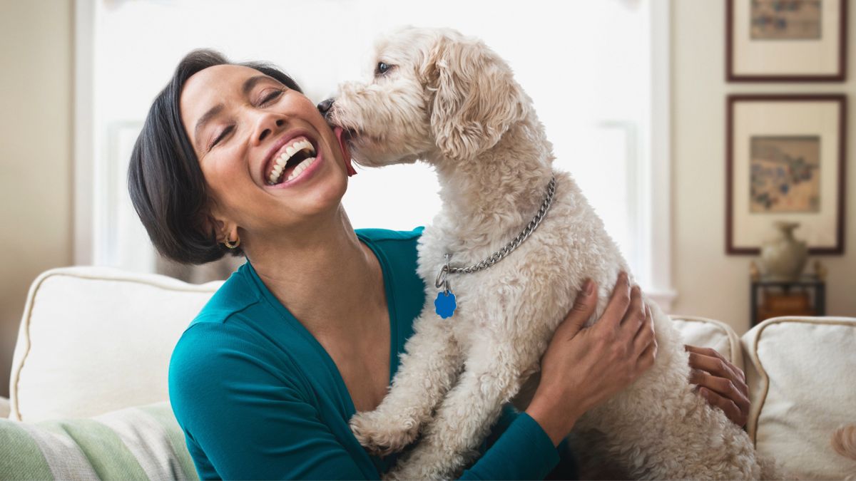 Woman sat on couch laughing as dog licks her face