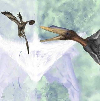 Darwinopterus and tiny flying dinosaur