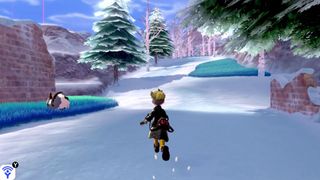 Pokemon Sword and Shield: Crown Tundra DLC