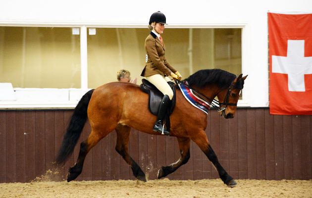 Ponies Association (UK) Winter Classic 2015 on 28 03 2015