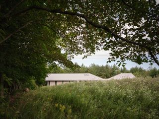 ridge house seenin summer greenery exterior