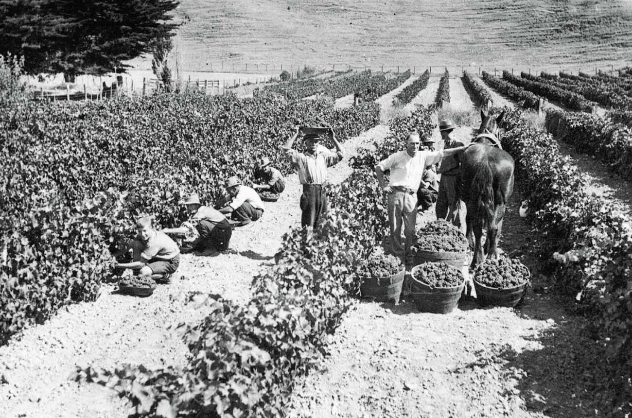 New Zealand&rsquo;s Church Road winery was founded in 1897