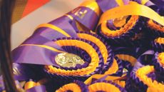 A rosettes basket at Horse of the Year Show