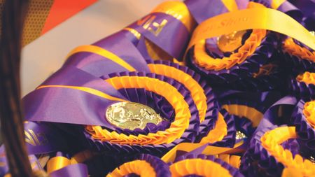 A rosettes basket at Horse of the Year Show