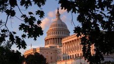 The U.S. Capitol building is seen at sunset. 