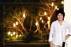 A comp image of lighting hung in trees with a picture of Ruby Wax (right)