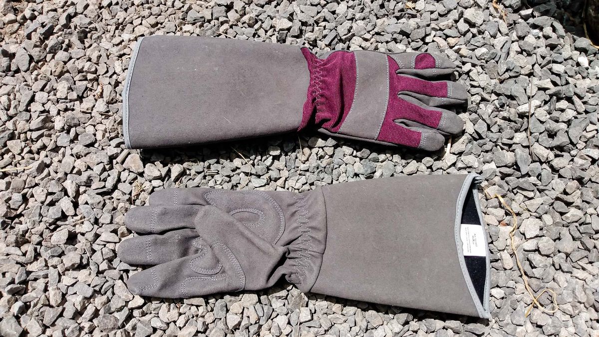 Best gardening gloves: