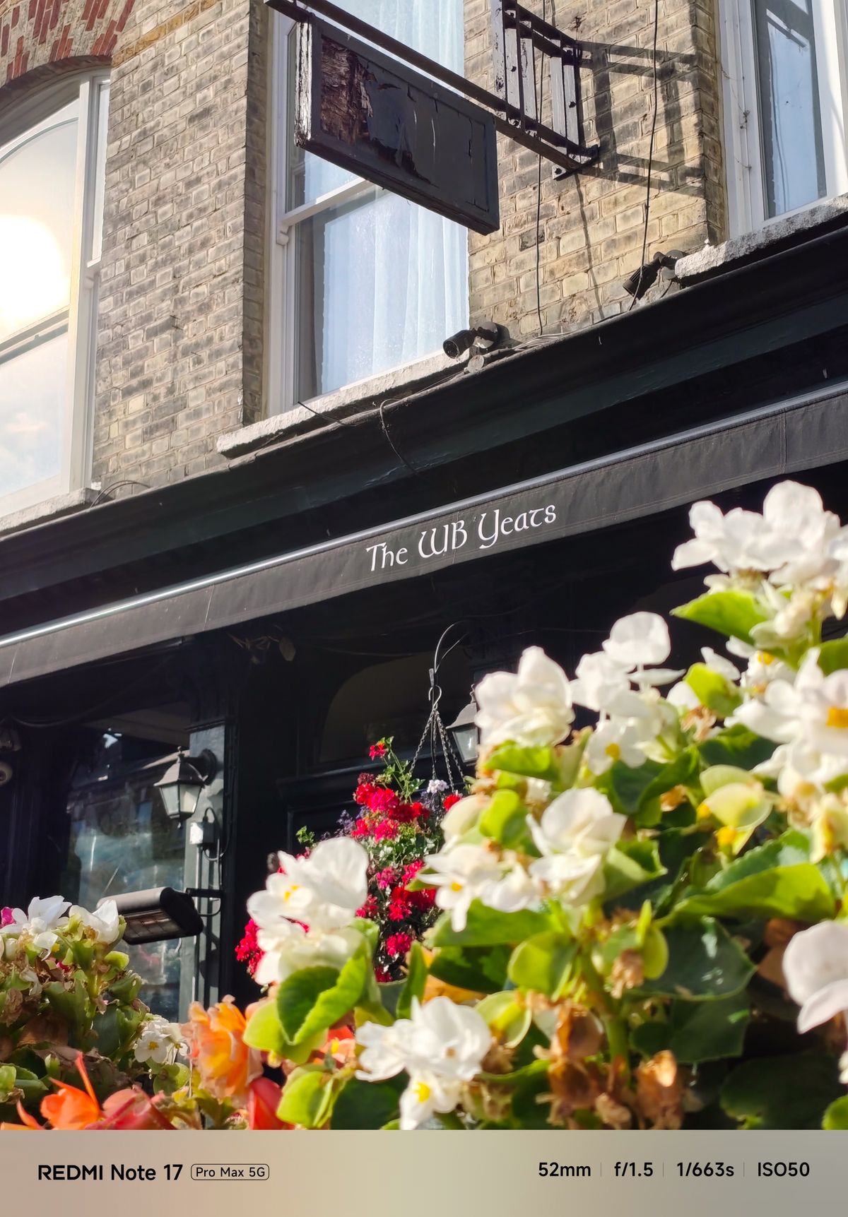 Flowers in the foreground outside The WB Yeats pub, photographed at 2x zoom in bright sunlight.