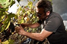 Brunello Riserva 2013