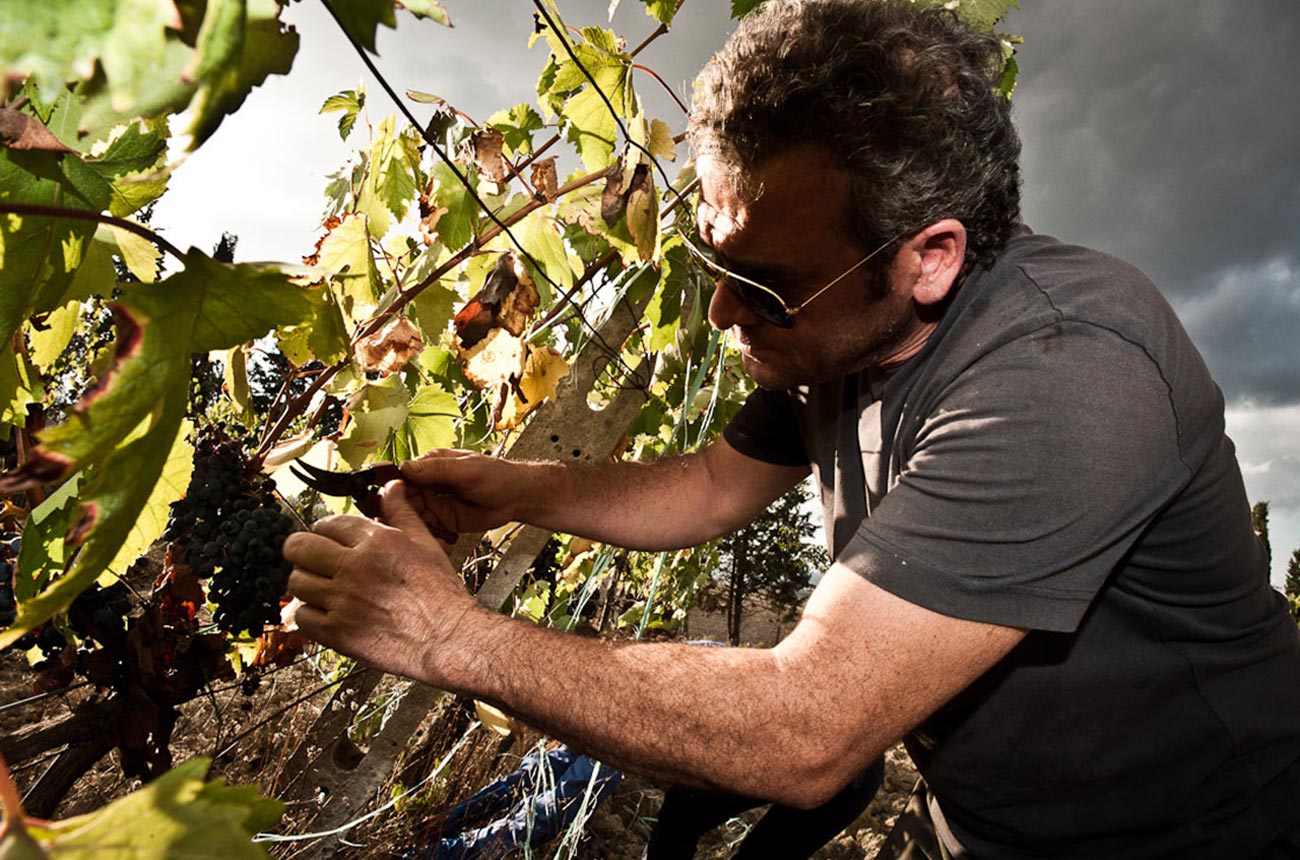 Brunello Riserva 2013