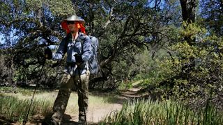 Hiker along trail