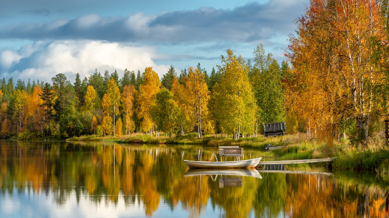 A lake in Finland during Ruska season.