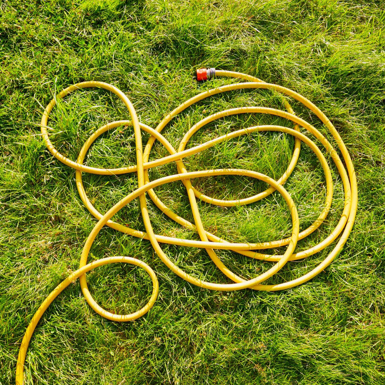 Tangled hose lying on lawn