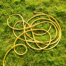 Tangled hose lying on lawn