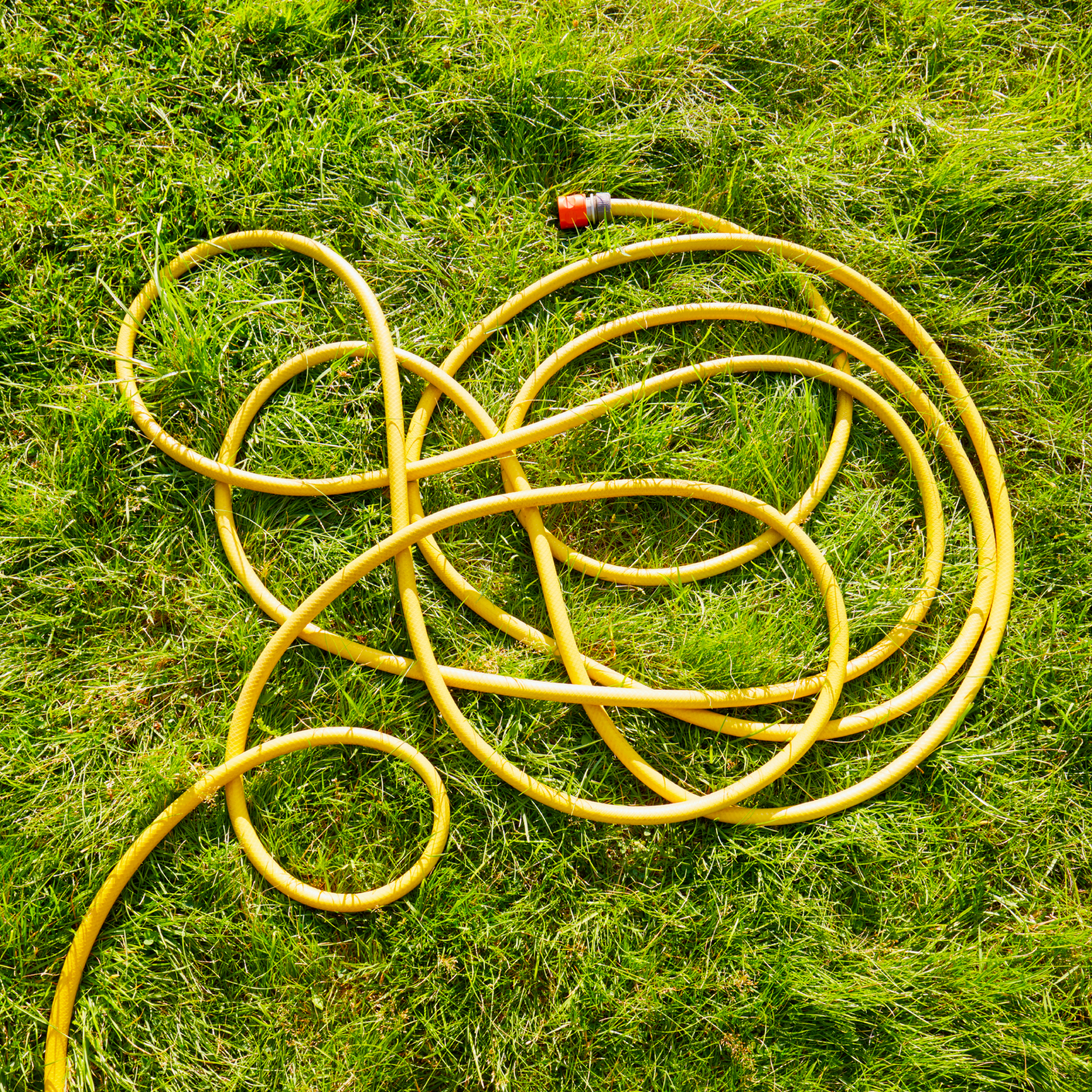 Tangled hose lying on lawn