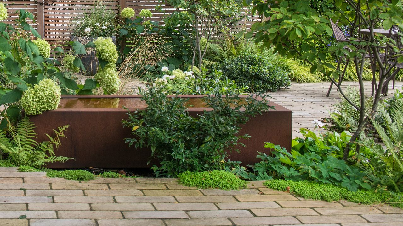 A garden with a water feature and plants growing