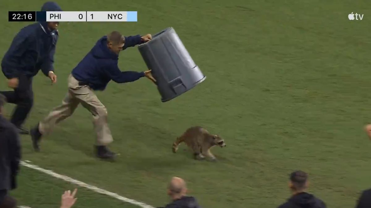 Portland Timbers announcer apologizes over awkward MLS broadcast hot mic blunder — overshadowed by hilarious raccoon incident | iMore