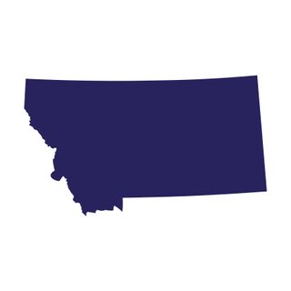 rendering of the state of Montana in the U.S.