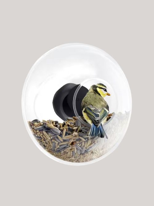Window Bird Feeder